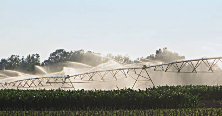 irrigation